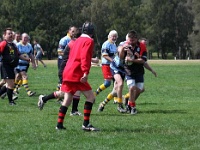 AUS NSW Sydney 2010SEPT29 GO v CentralWestOldBulls 048 : 2010, 2010 Sydney Golden Oldies, Australia, Central West Old Bulls, Date, Golden Oldies Rugby Union, Month, NSW, Places, Rugby Union, September, Sports, Sydney, Teams, Year
